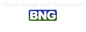Website Design and Management: BNG Transmedia